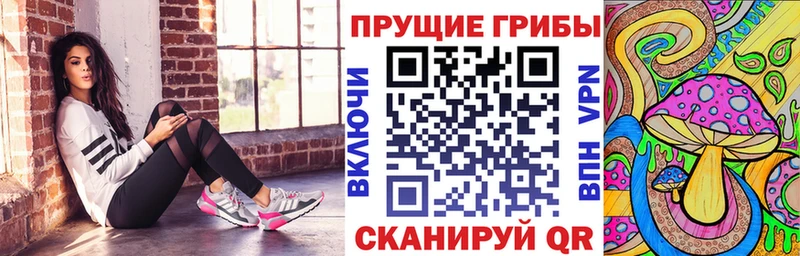 Купить где  Адыгейск  Галлюциногенные грибы Psilocybine cubensis 